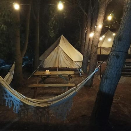 Bungalows Y Glamping Medina Sidonia Екстер'єр фото