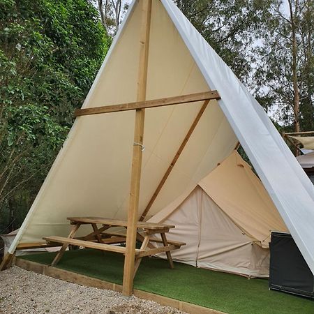 Bungalows Y Glamping Medina Sidonia Екстер'єр фото