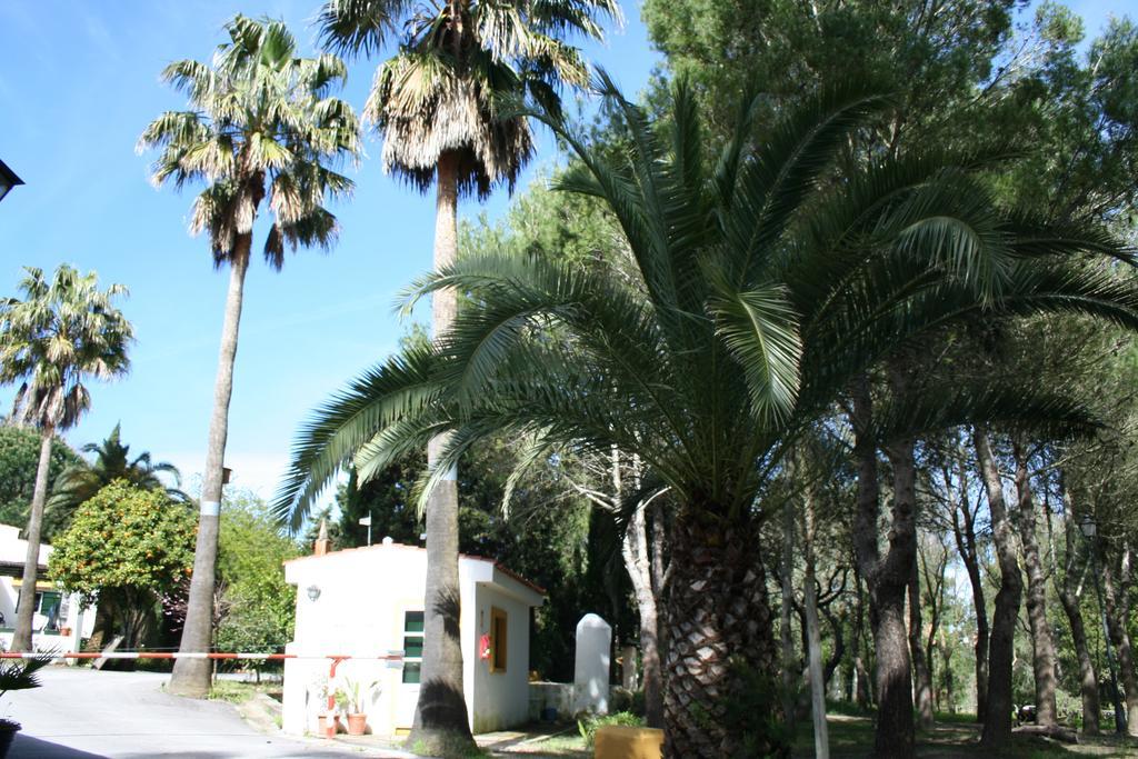 Bungalows Y Glamping Medina Sidonia Екстер'єр фото