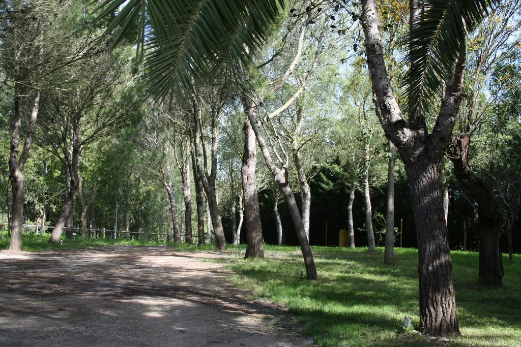 Bungalows Y Glamping Medina Sidonia Екстер'єр фото